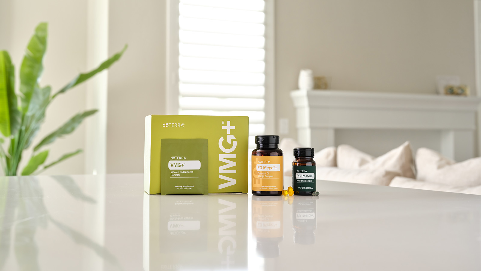 Foundational Wellness Kit